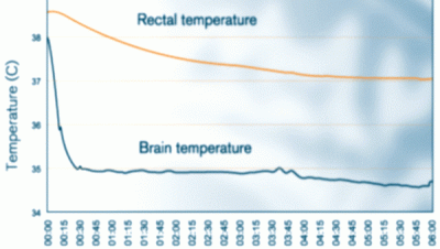 QuickCool Nasal Cavity Cooler​
